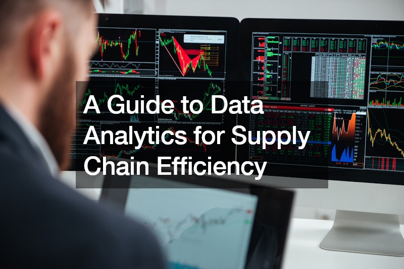 A Guide to Data Analytics for Supply Chain Efficiency